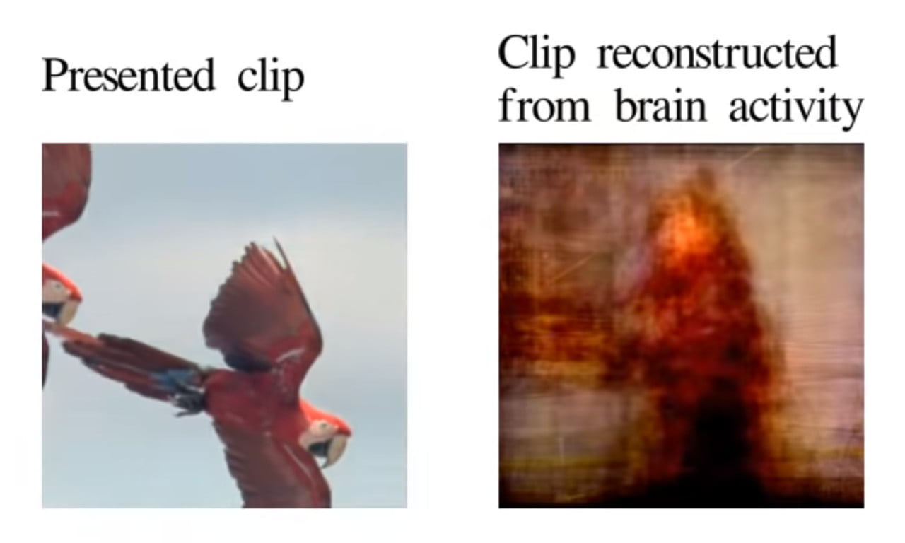 Example of images produced through brain scan measurements