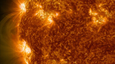 Sunspots on the Sun