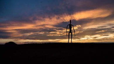 An alien figure statue stands in a field at sunset
