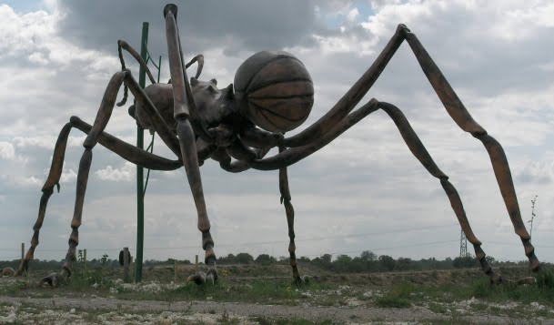 A Real Giant Ant!