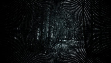 A dark forest