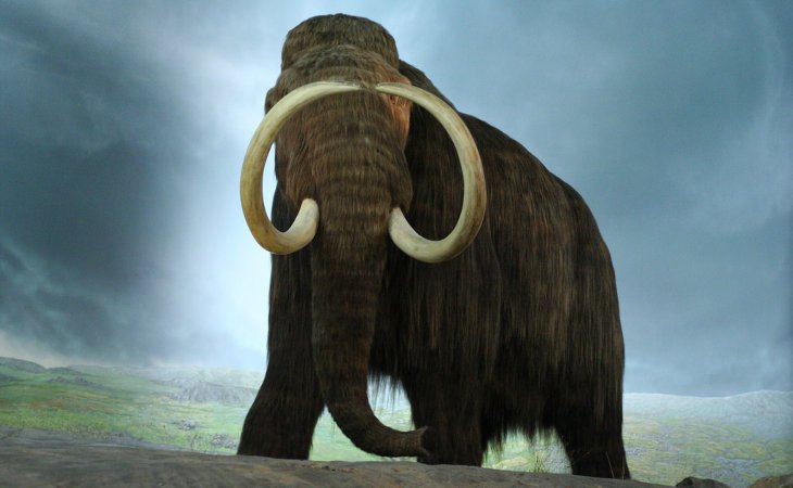 Woolly Mammoth Sightings – Are These Prehistoric Creatures Still Alive?