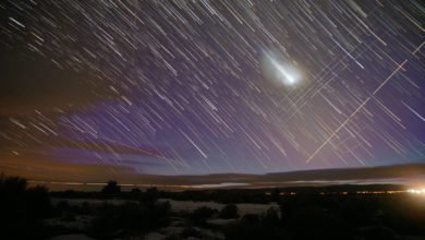 A timelapse of the night sky, showing all the stars and satellites as bright lines as they move