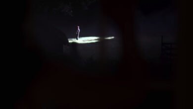Screencap of Unsolved Mysteries; a man stands in the light of a UFO