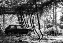 A car in a wooded area