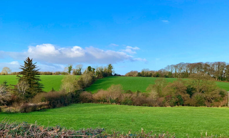 Farmland in Ireland