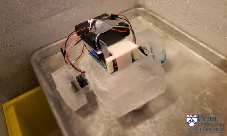 A robot made of ice rolls forward