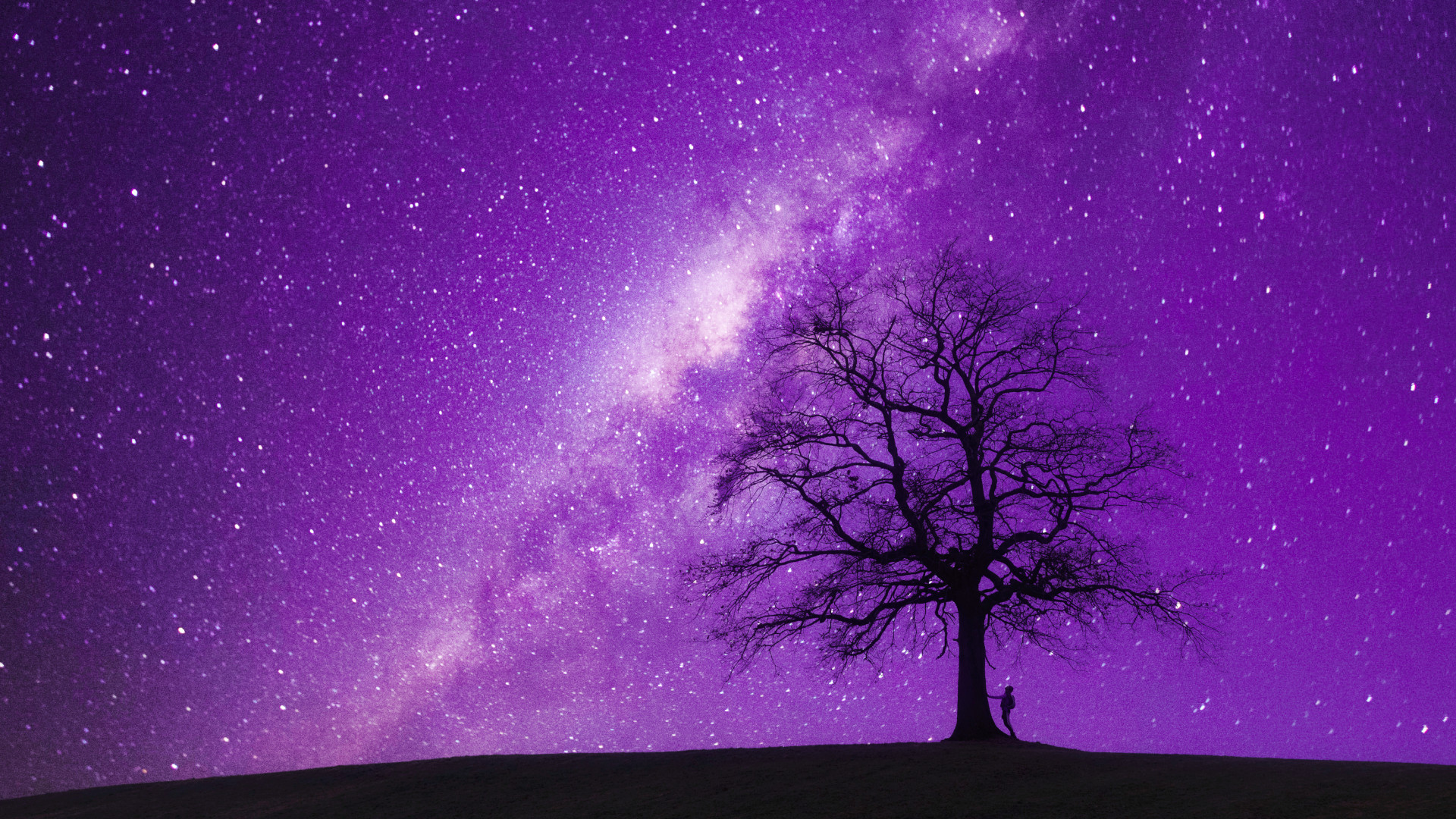 A tree under a purple starry sky
