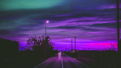 A dark and strangely purple road